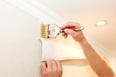 Pose de papier peint à Pero-Casevecchie — revêtements muraux et toiles de verre